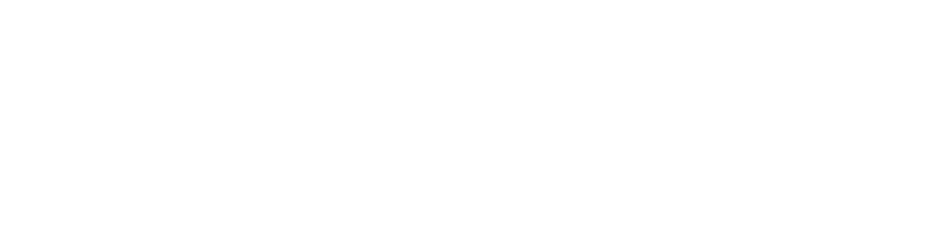 N.E. S.R.L.S. Logo